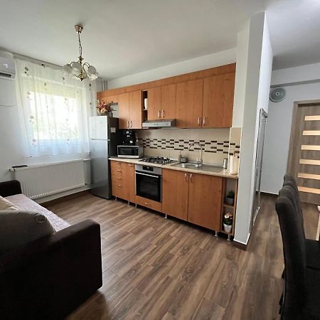 Apartament Andrei Băile Felix Exterior foto