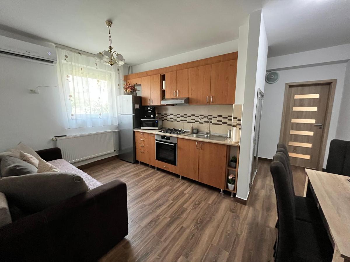 Apartament Andrei Băile Felix Exterior foto
